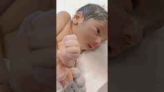 A day with only baby 🐥viralvideo littleprince newbornbaby mylittleprince [upl. by Artek467]