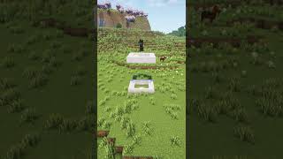 CRAZY MINECRAFT BUILD music minecraft videogames shorts [upl. by Eedoj913]