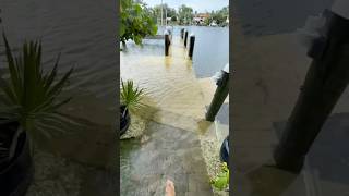 Hurricane Helene Storm Surge North Siesta Saylor Cove [upl. by Laurentia]