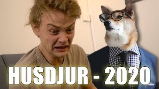 Husdjur år 2020 [upl. by Berget]