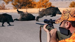 MÜKEMMEL YABAN DOMUZU AVLARINDAN SAHNELER2  BEST WILD BOAR HUNTING COMPILATION  HOG HUNTS PIG [upl. by Monreal56]