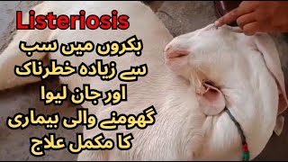 Listeriosis in goat treatment  Cattle  GID  Meningitis  Vet Experts  Dr Abdullah  Dr Aziz [upl. by Nord]