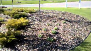 Bed prep and mulch blowing Landgreen Lawncare [upl. by Besnard]