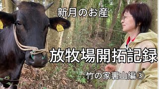 放牧場開拓記録〜竹の家裏山編〜③ 新月のお産 [upl. by Nur31]