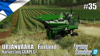 Harvesting GRAPES  35 URJANVAARA  Finland  FS22  PlayStation 5 [upl. by Sandye319]