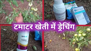 टमाटर खेती में Drenching kaunsa kare  टमाटर की खेती  आइए देखते हैं khet khaliyan vlog 😊 [upl. by Annahsar102]