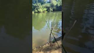 fishing in the Willamette river [upl. by Ewall922]