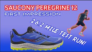 Saucony Peregrine 12  Marathon Test Run First Impression [upl. by Ytomit]