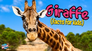 Giraffes For Kids  10 facts about the world’s tallest animal [upl. by Attenehs]