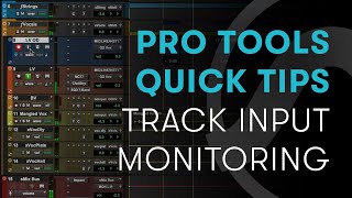 Pro Tools Quick Tips Track Input Monitoring [upl. by Hainahpez]