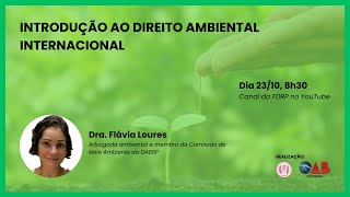 Introdução ao Direito Ambiental Internacional [upl. by Yznyl]