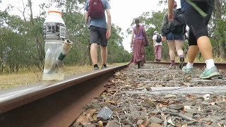 Trekking the Abandoned Mornington railway line [upl. by Enaht276]