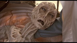 Cocoon Full Movie Facts And Review  Don Ameche  Wilford Brimley [upl. by Yatnoed]