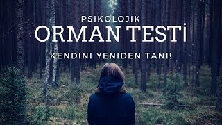 KENDİNİZİ YENİDEN TANIYIN Psikolojik Orman Testi [upl. by Ennaesor551]