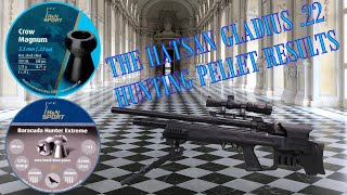 The Hatsan Gladius 22  Hunting Pellet Results [upl. by Misha]