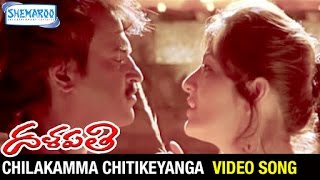 Chilakamma Chitikeyanga Video Song  Dalapathi Telugu Movie  Rajinikanth  Shemaroo Telugu [upl. by Areem338]