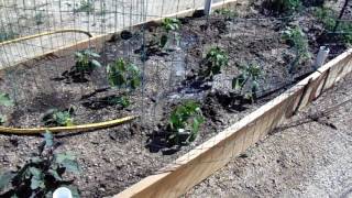 Decomposed Granite For Vegetable Gardening [upl. by Cherin]