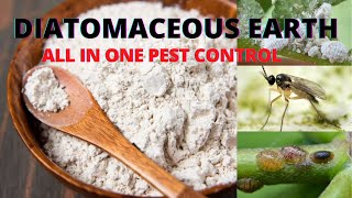 Magic Pest Control for houseplants and garden  Organic [upl. by Iramo]