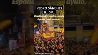 El pueblo habla valencia dana manifestacion [upl. by Akihsal]