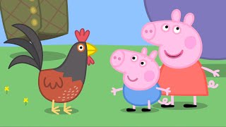 Peppa Gris  Bestemor Griser Høns  Tegnefilmer for barn [upl. by Notgnilliw]