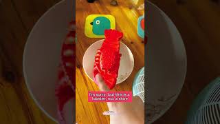 🦐🦐🦐Cubpi mistook his pair of slippers for a lobster Hilarious video toysdiy funny trending [upl. by Koerner]