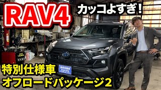 【RAV4】特別仕様車アドベンチャーオフロードパッケージ２！かっこよすぎるぞ！ [upl. by Damien695]