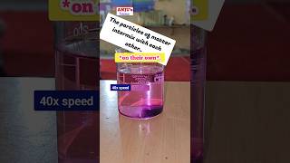 What is Diffusion Class 9  Diffusion of Potassium Permanganate in Water shorts anjusscience [upl. by Jewel218]