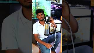 இது என்னடா ரொம்ப புதுசா இருக்கு 🫣 fish cloningaqua fishaquarium cleantank [upl. by Llevel447]