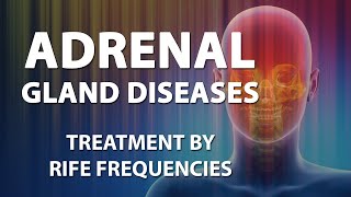 Adrenal Gland Diseases  RIFE Frequencies Treatment  Energy amp Quantum Medicine with Bioresonance [upl. by Niwdla]