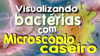 Bactérias vistas em microscópio caseiro [upl. by Niret]