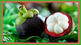 knowledge  Incredible Benefits  of Mangosteen  The Queen of Fruits [upl. by Giacinta]