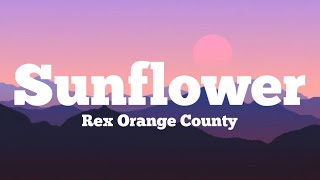 Sunflower  Rex Orange County [upl. by Tratner225]