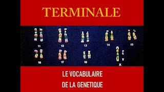 vocabulaire de la génétique [upl. by Pettit]