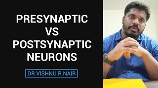 Presynaptic vs Postsynaptic neurons  docvishnu [upl. by Allehcram]