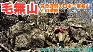 【毛無山 登山】急登連続の日本二百名山との激闘！メッチャしんどかったけど相方700座、私800座達成記念にふさわしいサイコーの山行でした 2024年11月 [upl. by Burtis]