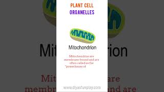 Plant cell organelles shorts  plant cell parts  biology  diyas funplay [upl. by Mcgrath]