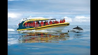 Bruny Island Cruise Tasmania [upl. by Chretien]