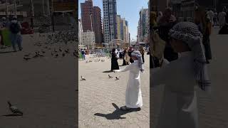 Raif playing with bird in Saudi Arabia 2024 [upl. by Swithbert]