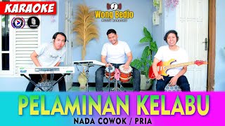 PELAMINAN KELABU KARAOKE KOPLO NADA COWOK  PRIA [upl. by Kelsey]