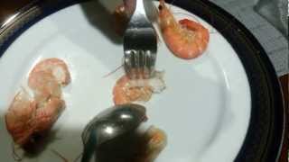 How to peel or deshell shrimp in 3 seconds [upl. by Lovash646]