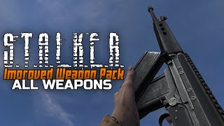 STALKER Improved Weapon Pack  All weapons reload animations [upl. by Nallaf]