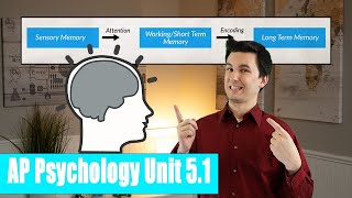 Introduction to Memory AP Psychology Unit 5 Topic 1 51 [upl. by Ardet]