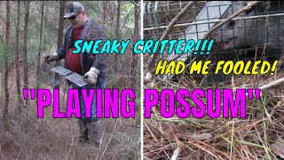 Playing Possum Or Truly Dead The Mystery Unraveled [upl. by Liane]