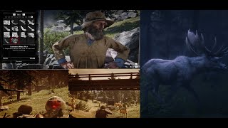 Where to sell Legendary animal skinsRed dead redemption2RDR2 location [upl. by Ehcrop624]