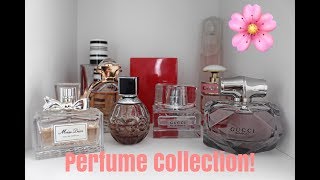 Perfume Collection Updated  All Of My Fragrances [upl. by Klemperer]