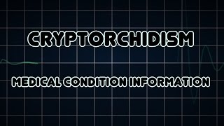 Cryptorchidism Medical Condition [upl. by Yellek172]