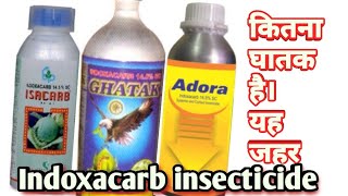 IndoxacarbInsecticideक्या ये अधिक घातक है farmingwithsanyog indoxacarbinsecticide pesticide [upl. by Shuler717]