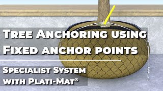 Tree anchoring using preinstalled anchor points  Specialist Fixing System with PlatiMat [upl. by Ree]