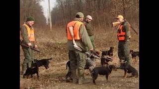 Deutscher Jagdterrierhunting with my friends [upl. by Anauqed970]