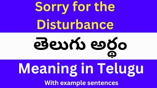 Sorry For The Disturbance meaning in telugu with example  Sorry For The Disturbance తెలుగు లో అర్థం [upl. by Eibocaj]